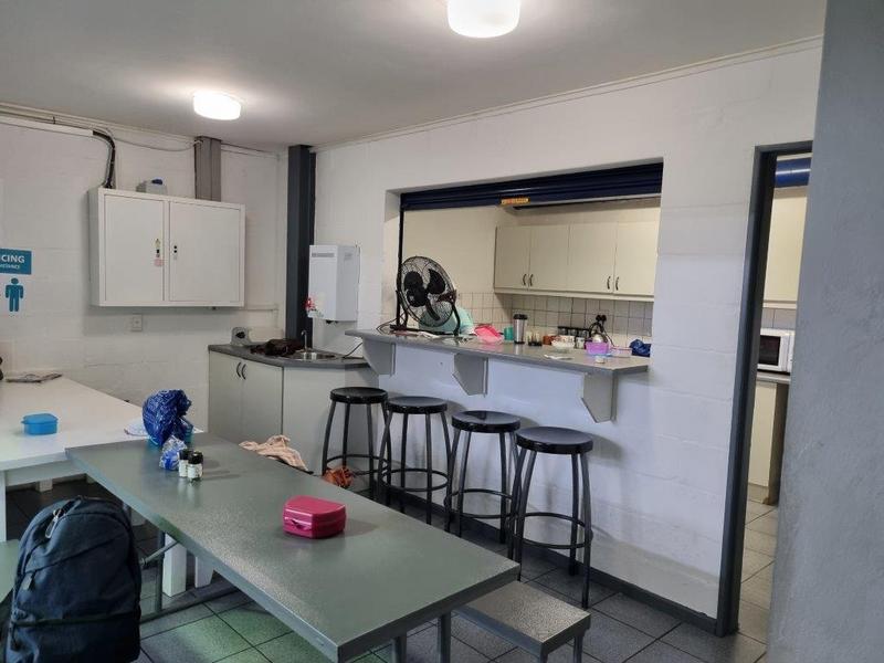 To Let commercial Property for Rent in Observatory Western Cape